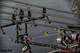 Trofeul Tancabesti (3) - 2013
